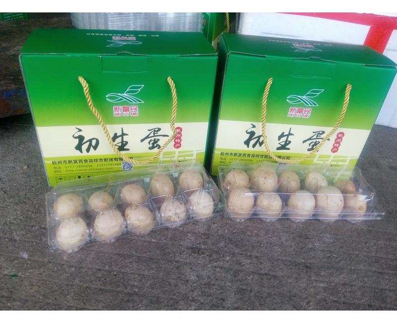 新富民初生蛋-源于天然 滋補(bǔ)有道。